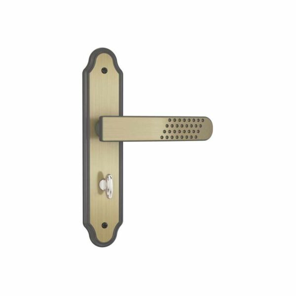 FECH BAN ALAV OXI 823/21 STAM 11494