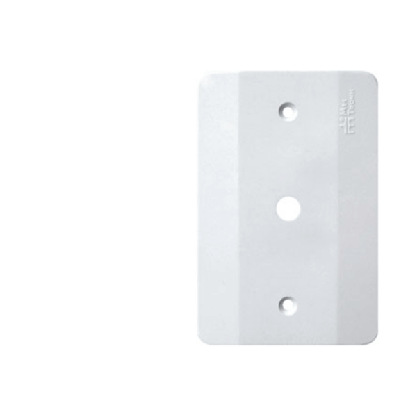 PLACA 2X4 1FURO MILLENIUM