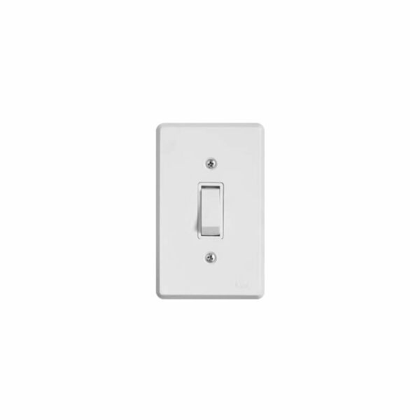 INT 1TC SIMP C/PL 2X4 6A PRATIKA 1917 ILUMI