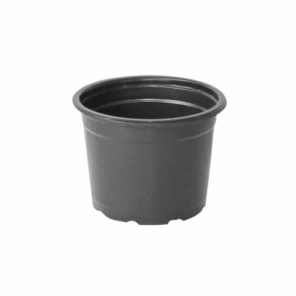 VASO COMUM N2 PRETO NUTRIPLAN